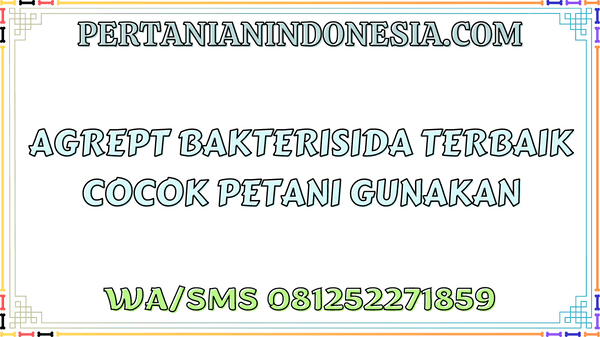 Agrept Bakterisida Terbaik Cocok Petani Gunakan